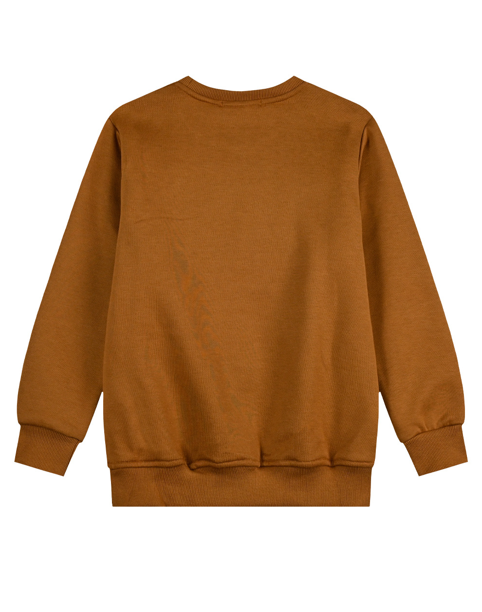 13-123005-5_031-03 Φούτερ μπλούζα με ανάγλυφο τύπωμα για αγόρι 3