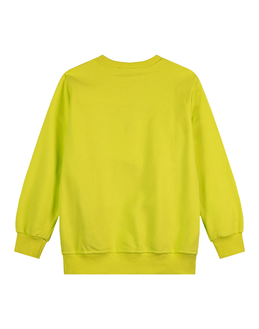 13-123005-5_084-02 Φούτερ μπλούζα με ανάγλυφο τύπωμα για αγόρι 6