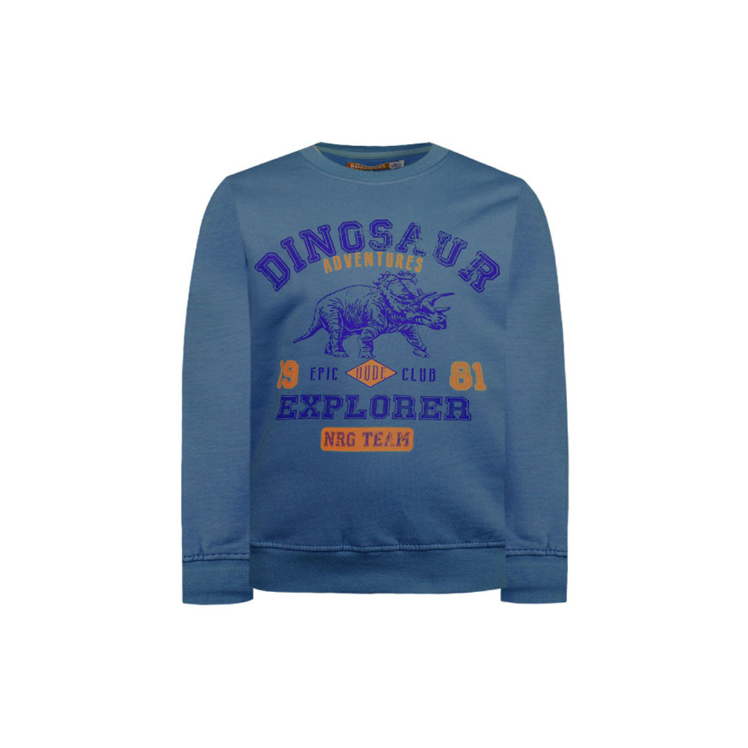 Μπλούζα φούτερ με τύπωμα - Ρουά 12-121187-0-5