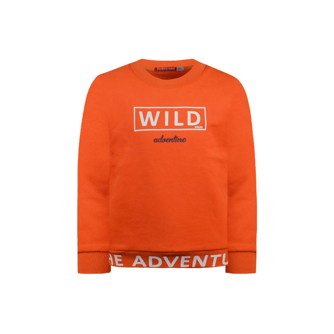 Μπλούζα φούτερ με τύπωμα - 1 έτους, Πορτοκαλί εικόνα 1