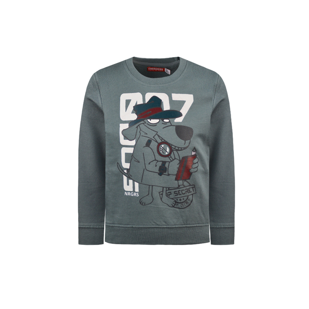 Μπλούζα φούτερ με τύπωμα - 1 έτους, ΠΕΤΡΟΛ εικόνα 1