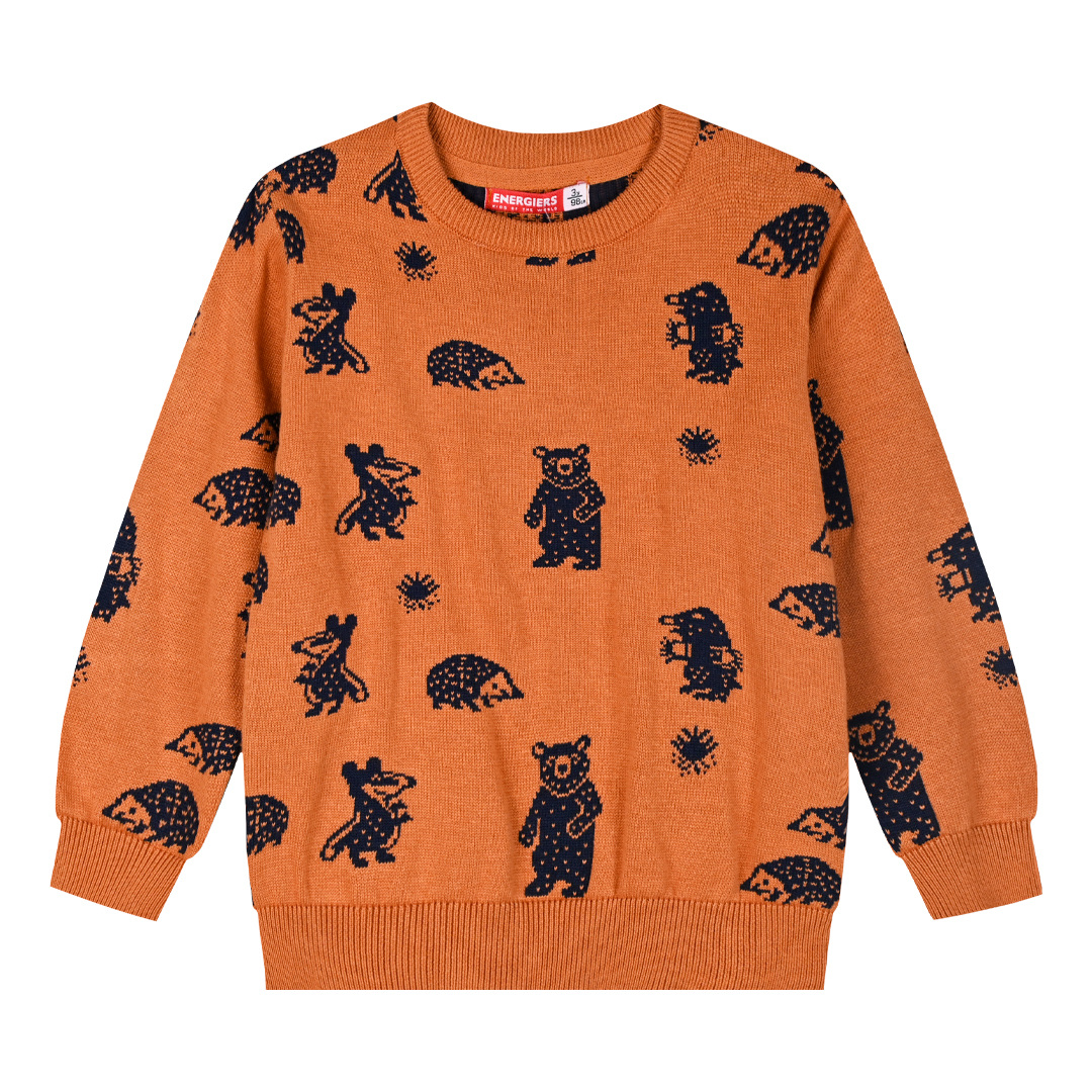 Πλεκτή μπλούζα για αγόρι - 1 έτους, Μπρονζέ εικόνα 1