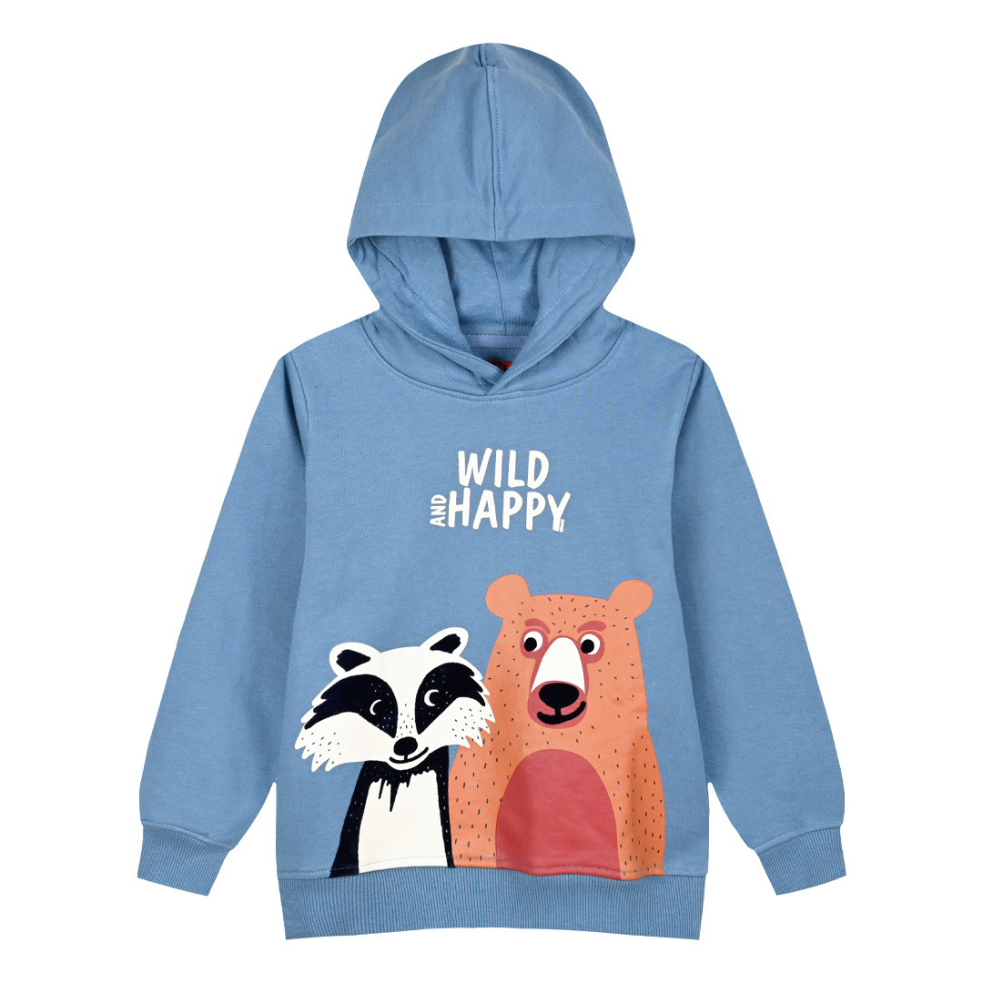 Φούτερ μπλούζα με κουκούλα για αγόρι - 1 έτους, Σιέλ εικόνα 1