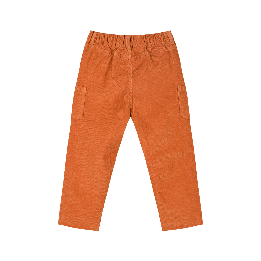 Κοτλέ παντελόνι για αγόρι - ΠΡΑΣΙΝΟ ΤΗΣ ΕΡΗΜΟΥ 12-124107-2 φωτογραφία