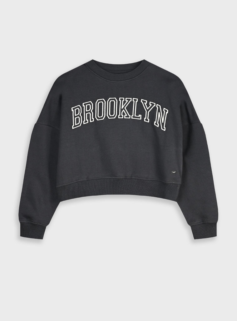 Μπλούζα φούτερ - 2 ετών, ΑΝΘΡΑΚΙ εικόνα 1