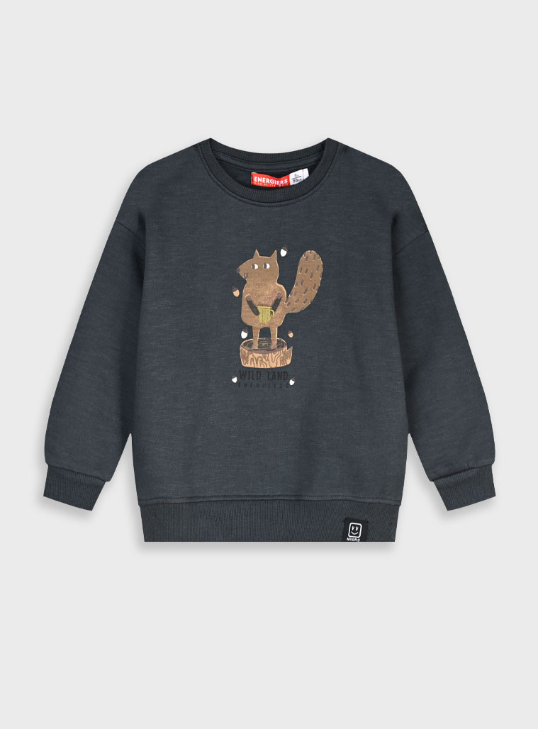 Μπλούζα φούτερ - 2 ετών, ΑΝΘΡΑΚΙ εικόνα 1