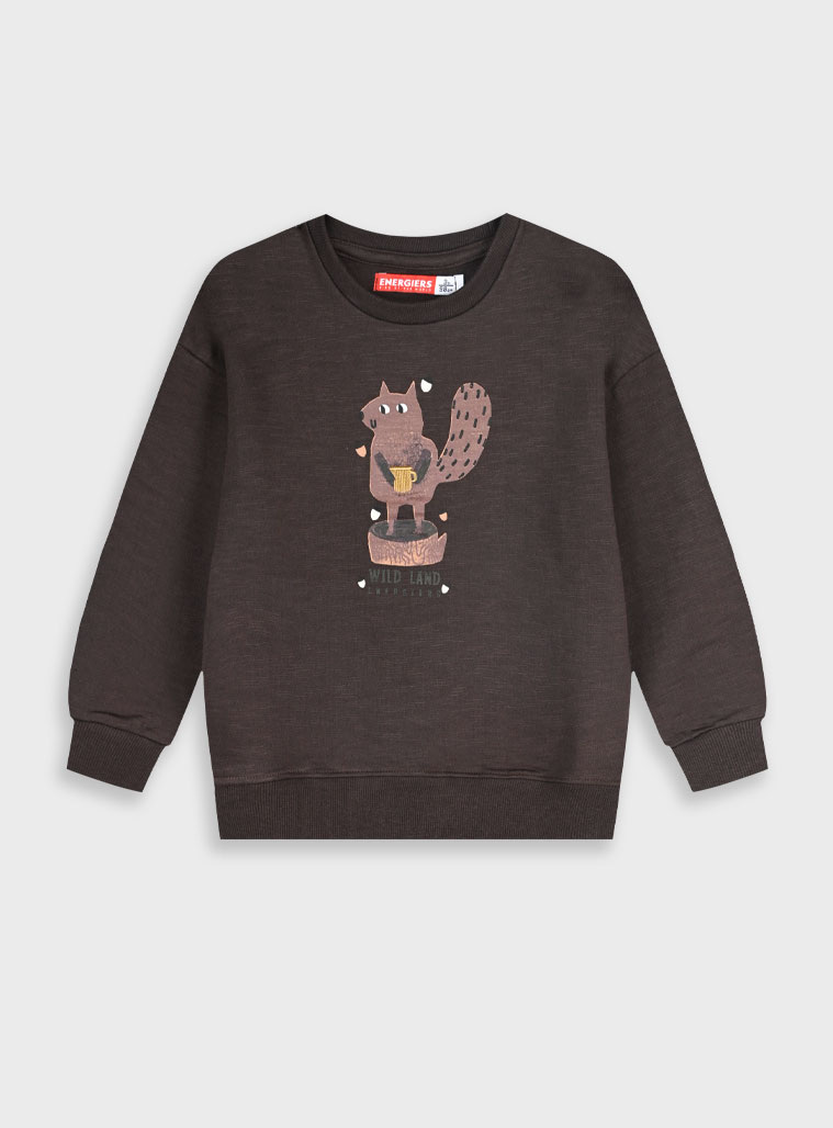 Μπλούζα φούτερ - 2 ετών, ΚΑΦΕ εικόνα 1