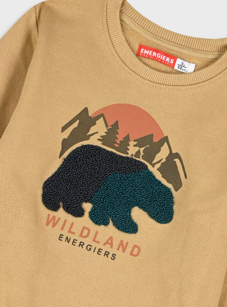 Μπλούζα φούτερ - ΚΥΠΑΡΙΣΣΙ 12-125117-5 φωτογραφία