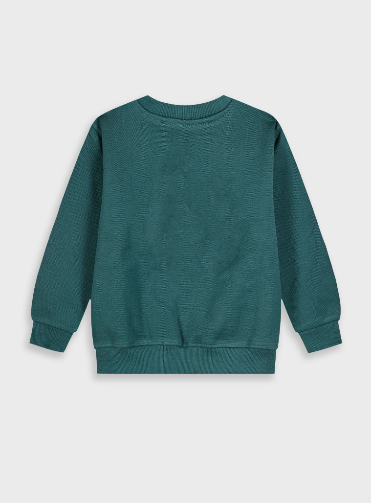 Μπλούζα φούτερ - ΚΥΠΑΡΙΣΣΙ 12-125117-5 φωτογραφία