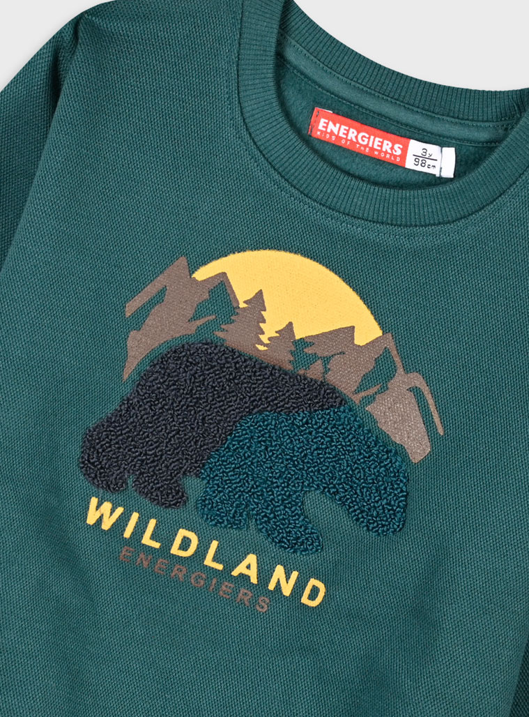 Μπλούζα φούτερ - ΚΥΠΑΡΙΣΣΙ 12-125117-5 φωτογραφία